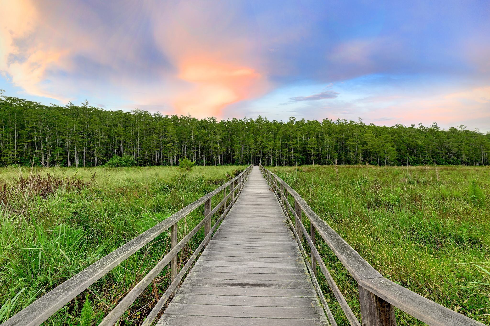 Corkscrew Swamp Sanctuary